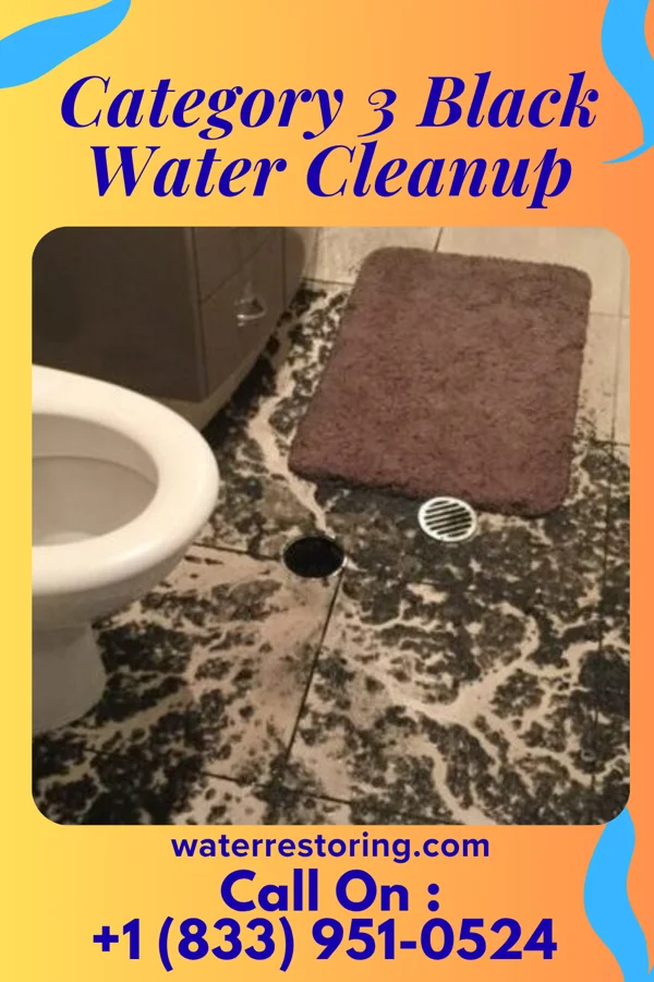 Category 3 Black Water Cleanup in Bode, IA