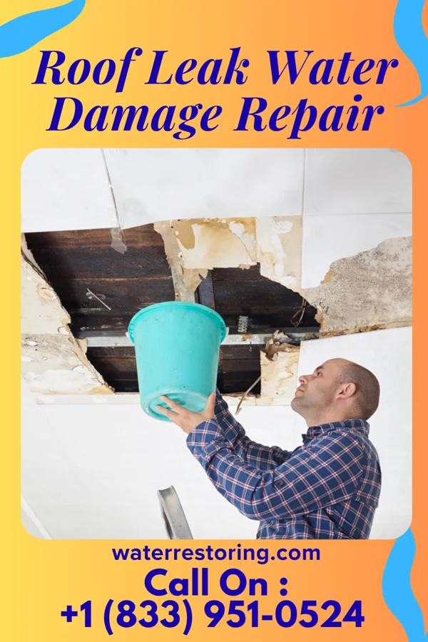 Roof Leak Water Damage Repair in Bode, IA